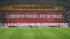 28-OM-TOULOUSE 12